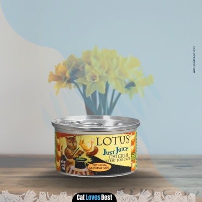 Lotus Just Juicy Chicken Stew Grain-Free Canned Cat Food