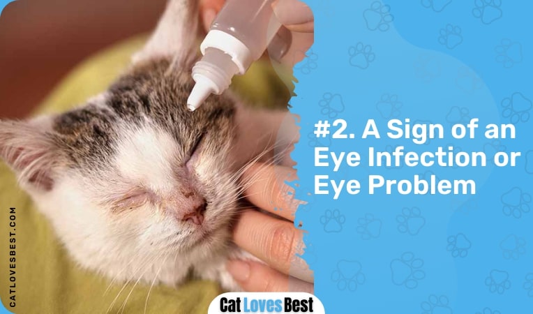 a sign of an eye infection or eye problem