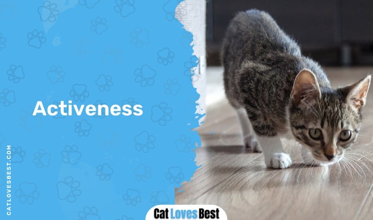 activeness