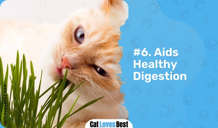 aids healthy digestion