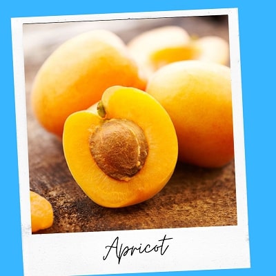 apricot