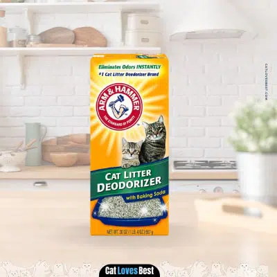 Best Cat Litter Deodorizers