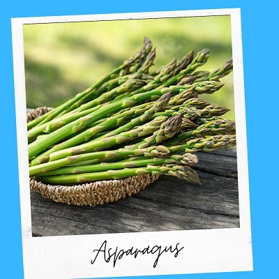 asparagus