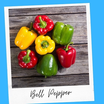 bell pepper