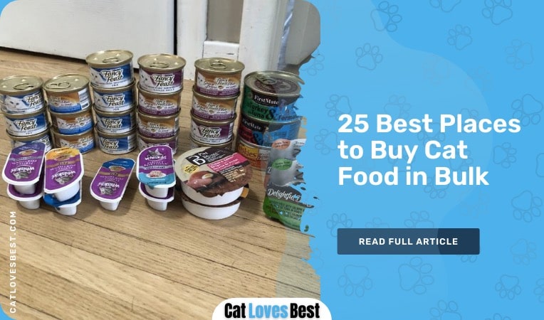 Best Places to Buy Cat Food in Bulk