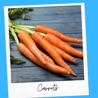 carrots