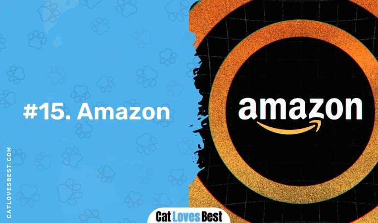 Cat Food on Amazon
