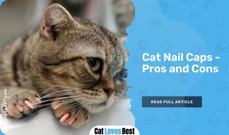 cat nail caps' pros and cons