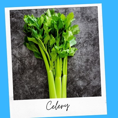 celery