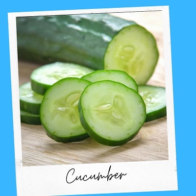 cucumber