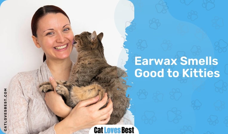 earwax smell good to kitties