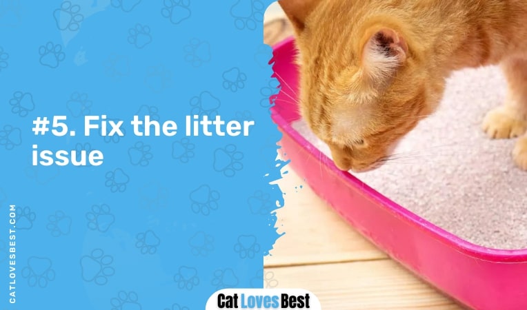 fix the litter issue