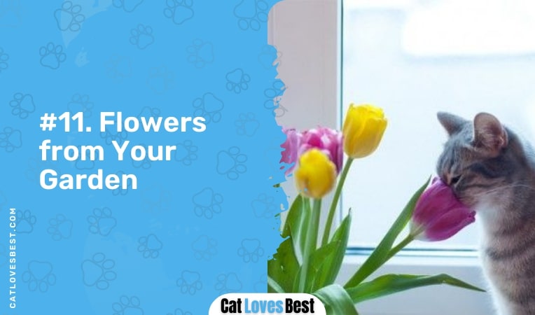 flowers from your garden