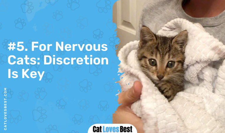 for nervous cats discretion is key