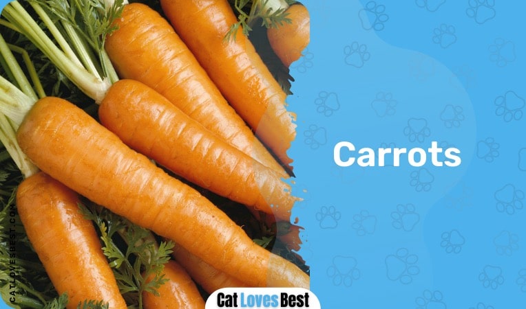 fresh carrots