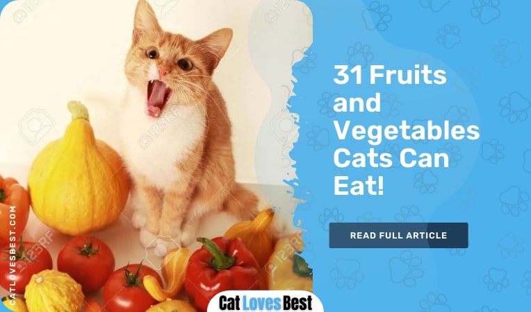 fruits and vegetables cats can eat
