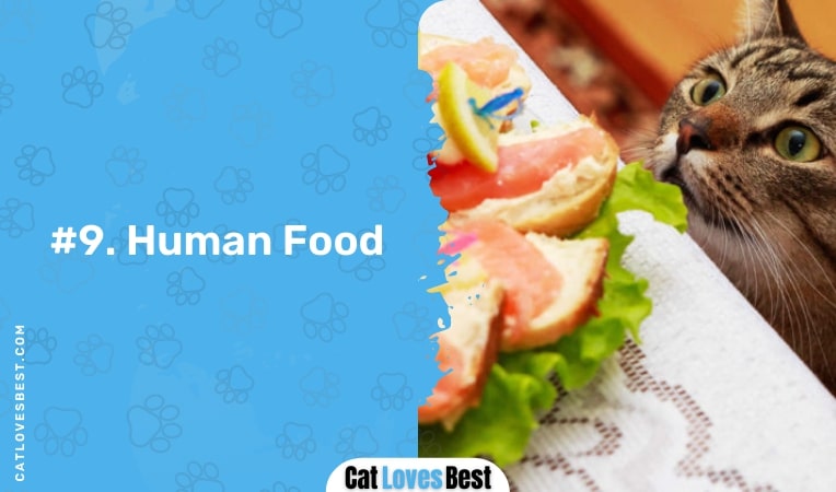 human food