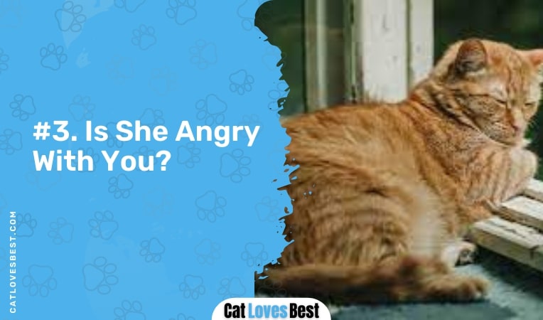is she angry with you