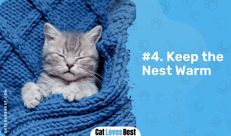 keep the nest warm