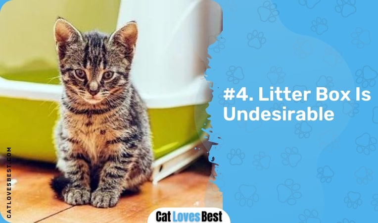 litter box is undesirable