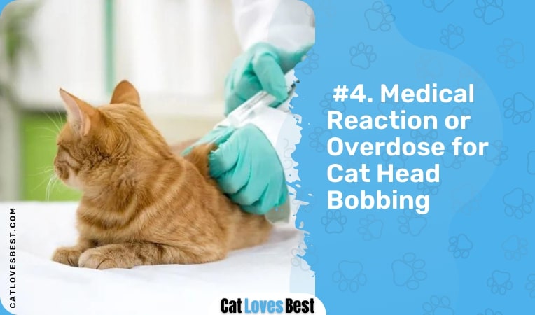 medical reaction or overdose for cat head bobbing