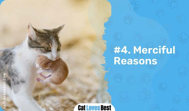 merciful reasons