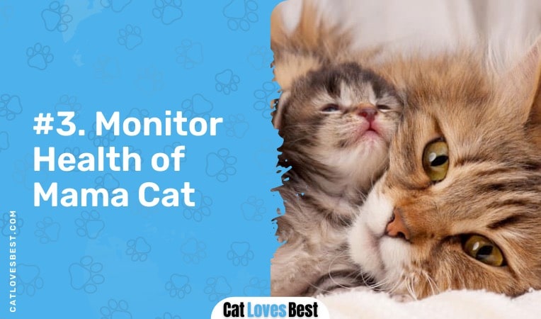 monitor health of the mother cat