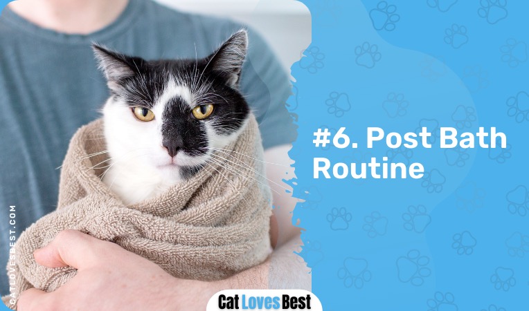 post cat bath routine