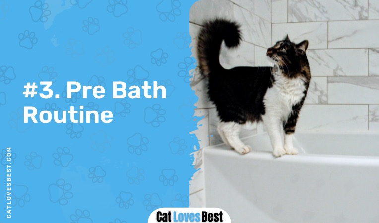 pre cat bath routine