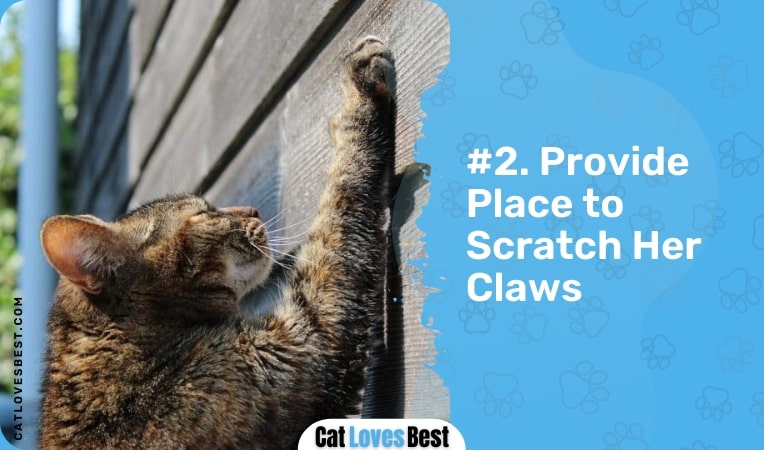 provide place to scratch her claws