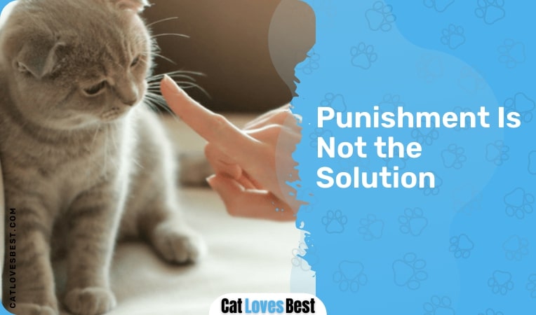 punishment is not the solution