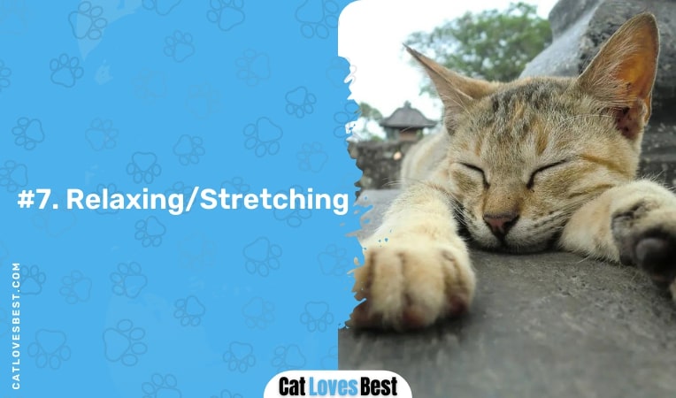 relaxing or stretching