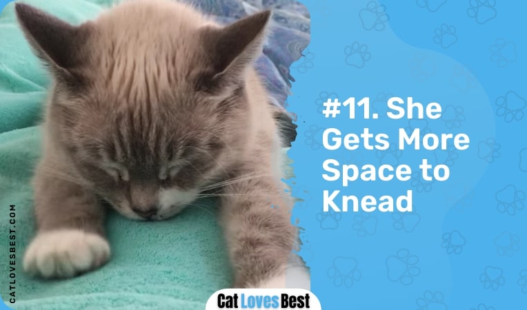 she gets more space to knead