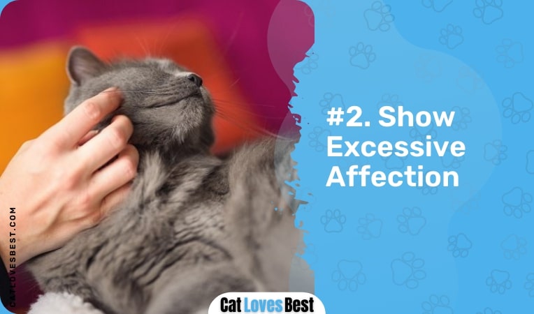 show excessive affection