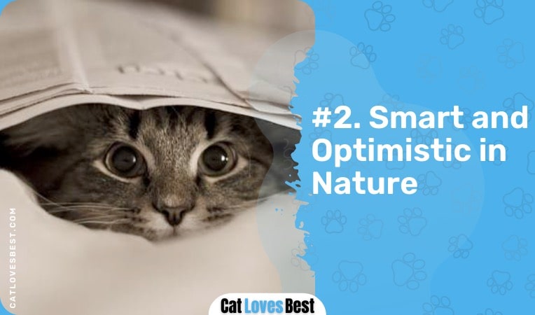 smart and optimistic in nature