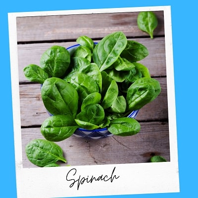 spinach