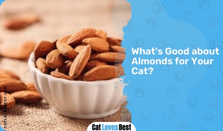 what's good about almonds for your cat