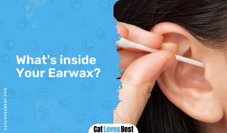 what's inside your earwax