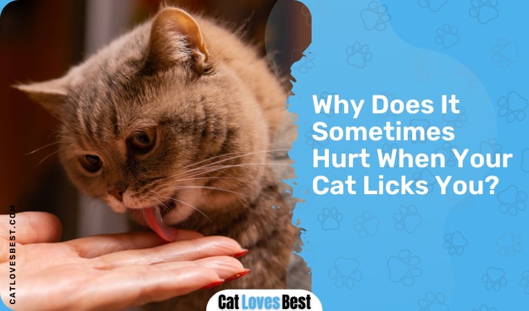 why does it sometimes hurt when your cat licks you