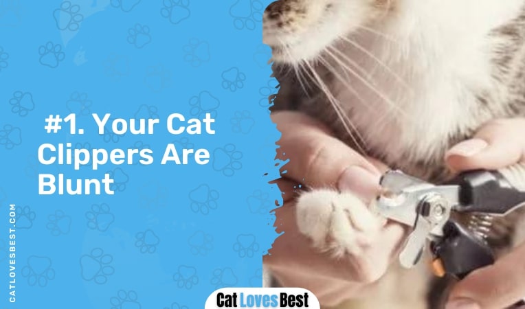 your cat clippers are blunt