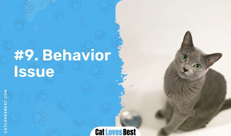 your cat has behavior issue