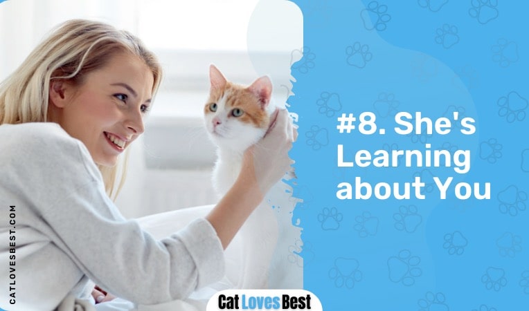 your cat is learning about you
