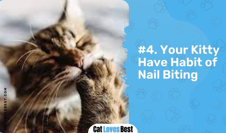 your kitty have habit of nail biting
