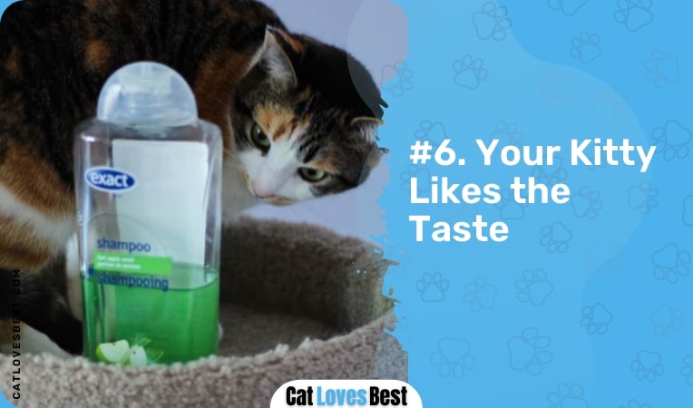 your kitty likes the taste