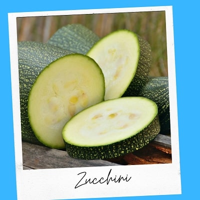 zucchini