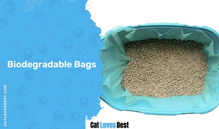 Biodegradable Bags