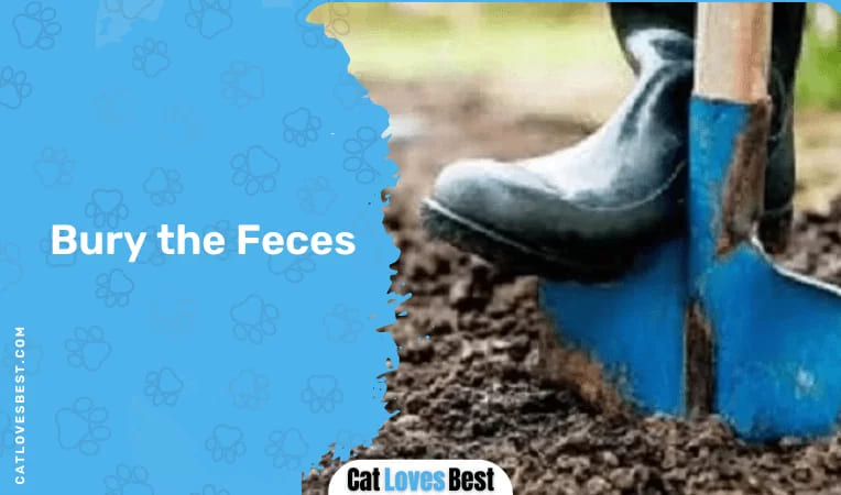 Bury the Feces