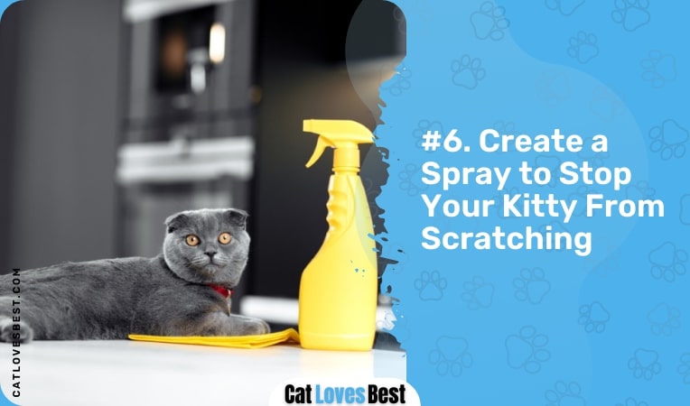 create a spray to stop your kitty from scratching