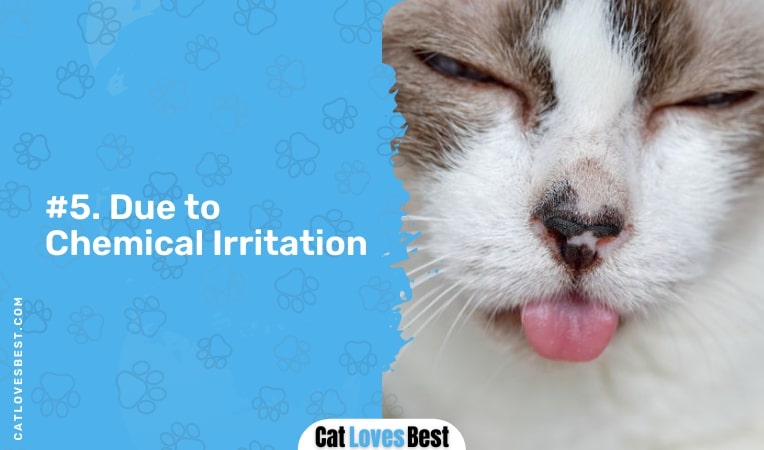 due to chemical irritation