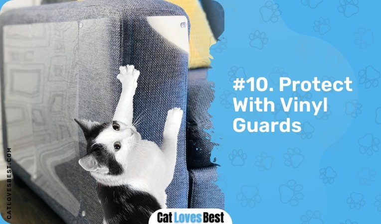 protect with vinyl guard